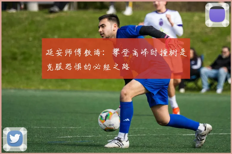 延安师傅教诲：攀登高峰时撞树是克服恐惧的必经之路