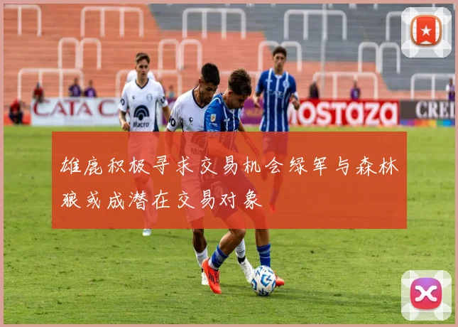 雄鹿积极寻求交易机会绿军与森林狼或成潜在交易对象