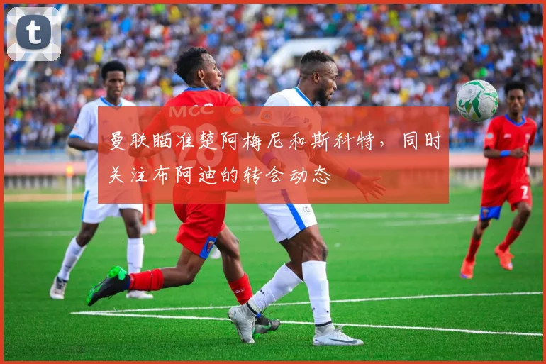 曼联瞄准楚阿梅尼和斯科特，同时关注布阿迪的转会动态